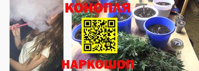 шишки Малоярославец