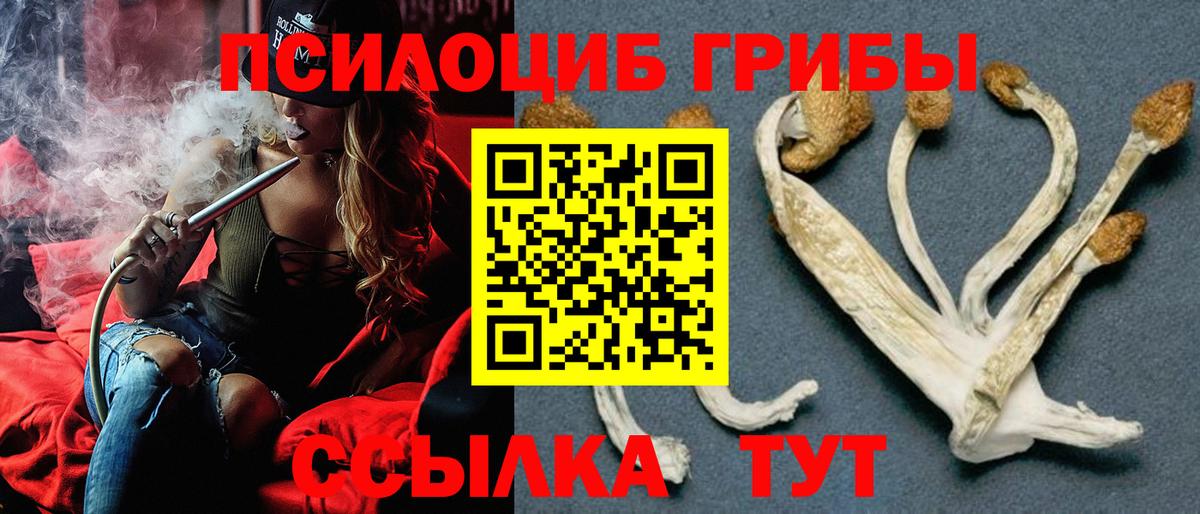 Воркута  сколько стоит  Вход с VPN  Галлюциногенные грибы мицелий 