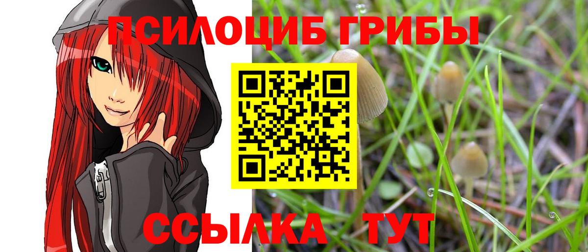 Галлюциногенные грибы мухоморы Воркута